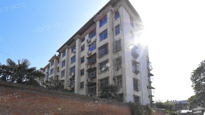 棉麻公司家属院外景图