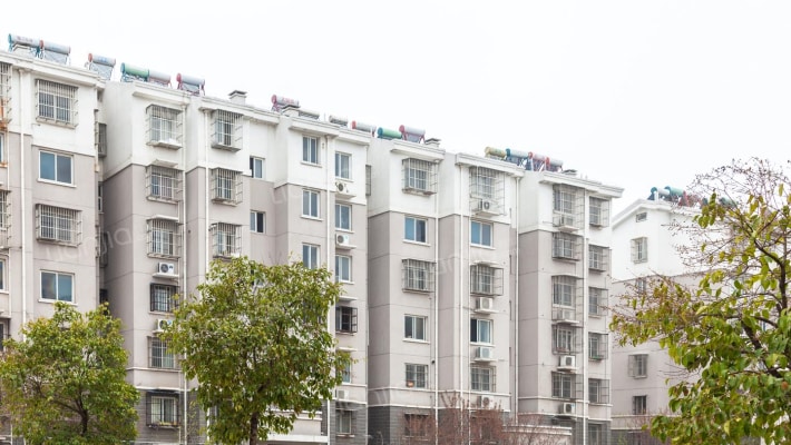 惠民玫瑰园外景图