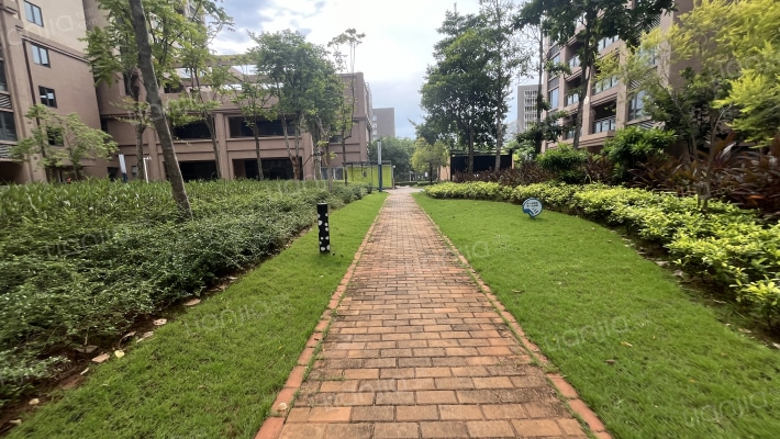 五源·海上日出外景图