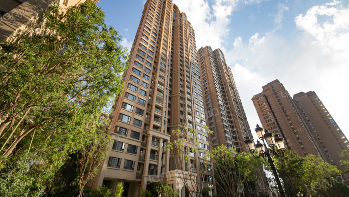 梵高的花园外景图