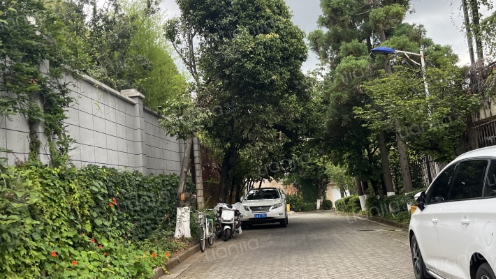 金缘山荘外景图