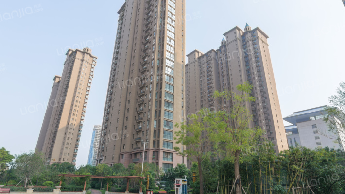 新龙御都国际外景图