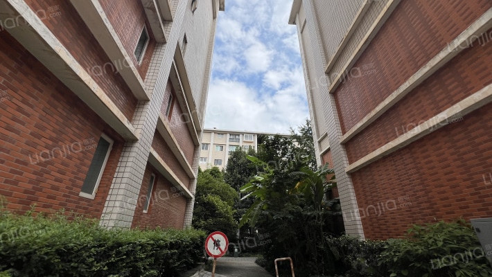 水岸枫林外景图