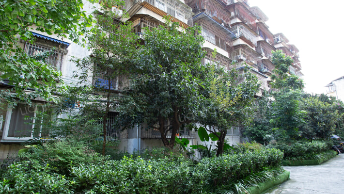 银杏路3号外景图