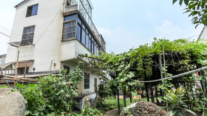 东长善浜8号外景图