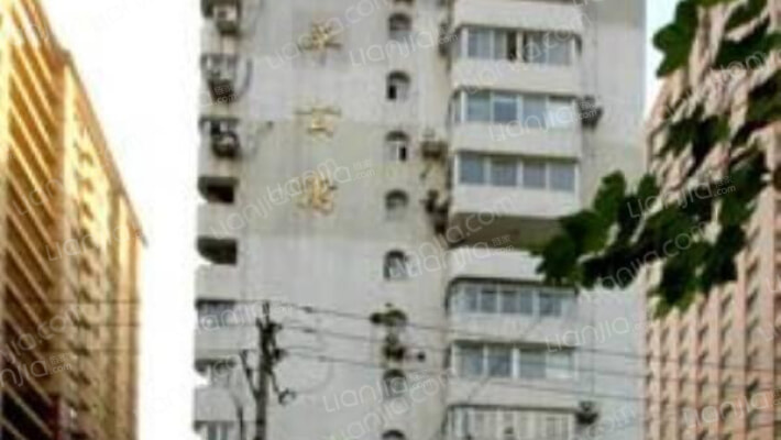 新平金叶公寓外景图