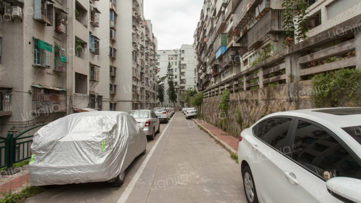 岳阳西里外景图