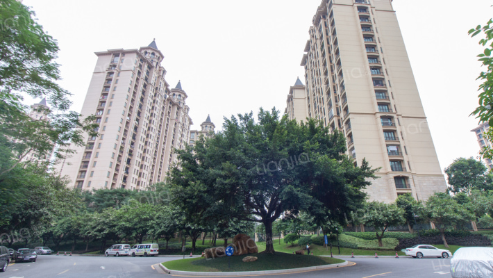 广州星河湾星座外景图