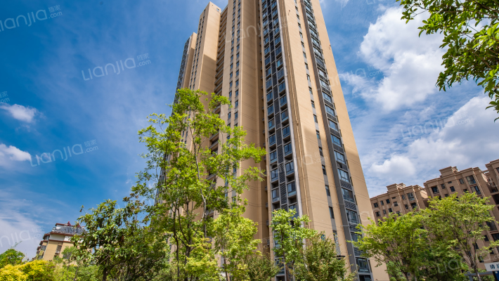 文景君庭外景图