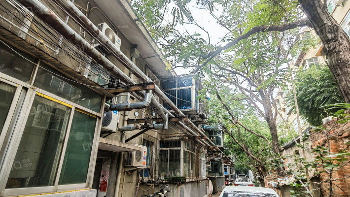 小柳行头村外景图