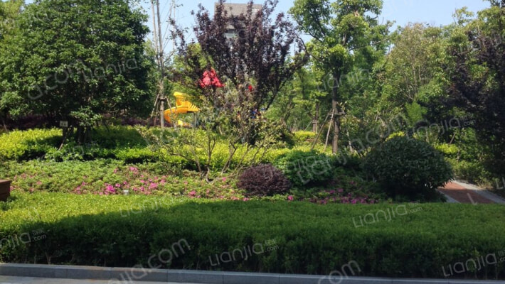 新浦江城(浦申路1288弄)外景图