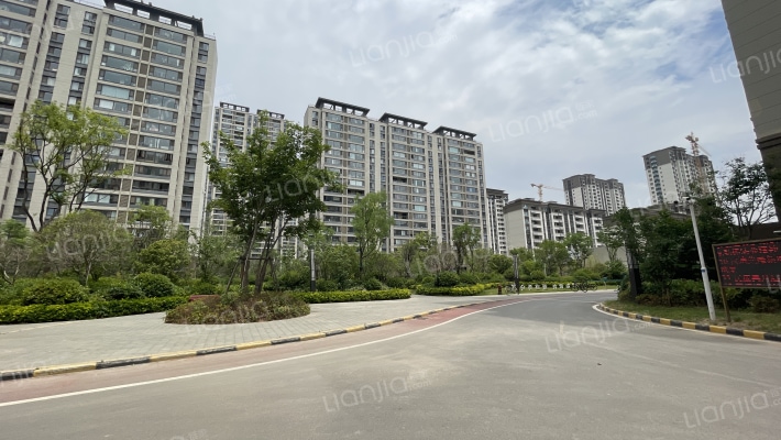 珍宝岛雍景和府外景图