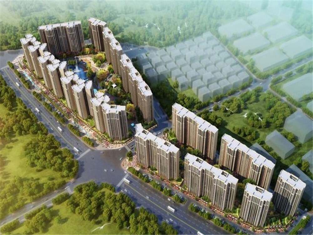 光明花半里相册