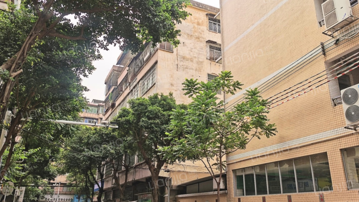 四小综合楼外景图