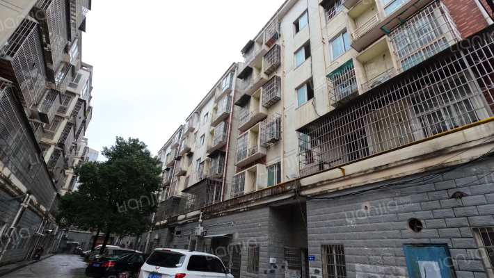 榔梨综合市场外景图