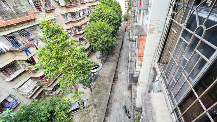 大王里61-1号外景图