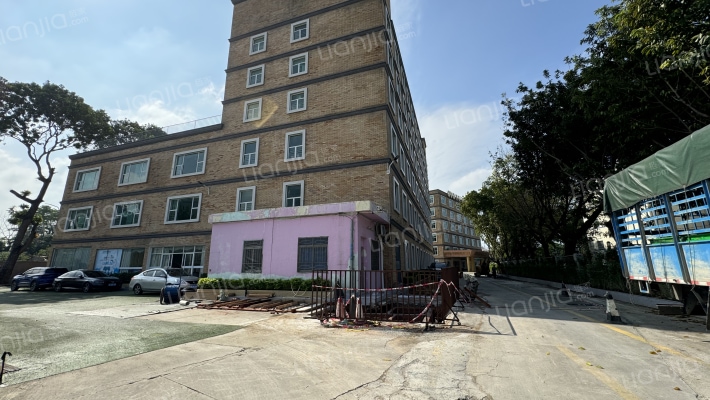 鞍莲路91号外景图