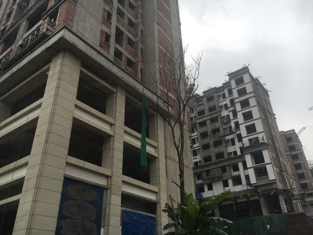 华美翡丽山相册