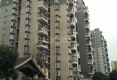 蓝光富丽花城4
