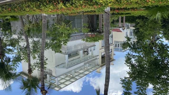 海峡南岸温泉花园外景图