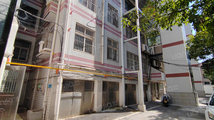 新港大道6号外景图