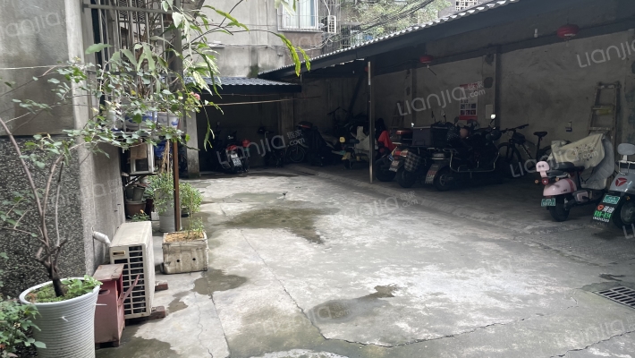 槐树街41号外景图