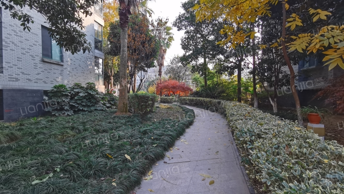 新月花园外景图