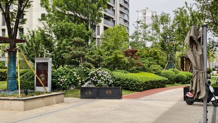 桃李天下外景图