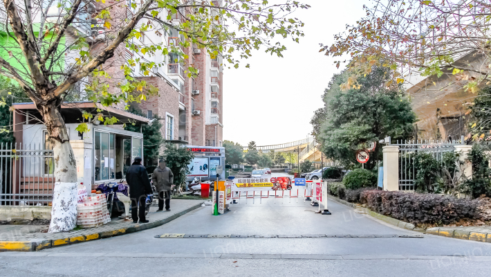 金枫美地外景图