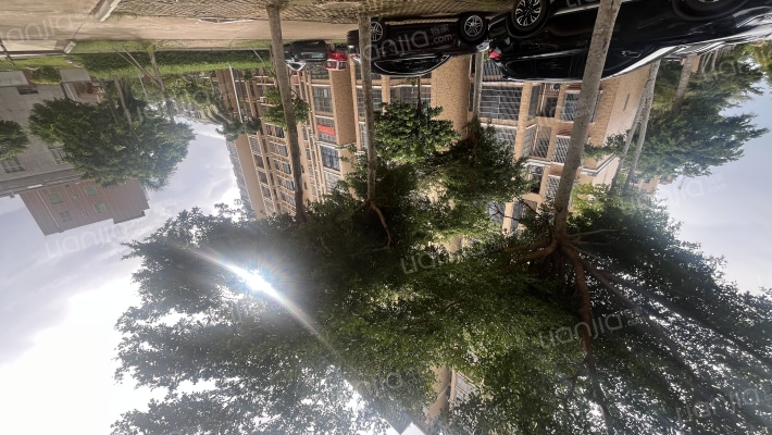 青春东岸外景图