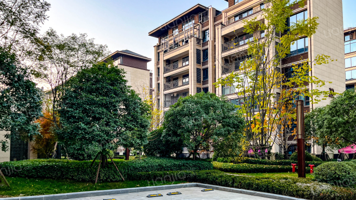 中心风华外景图