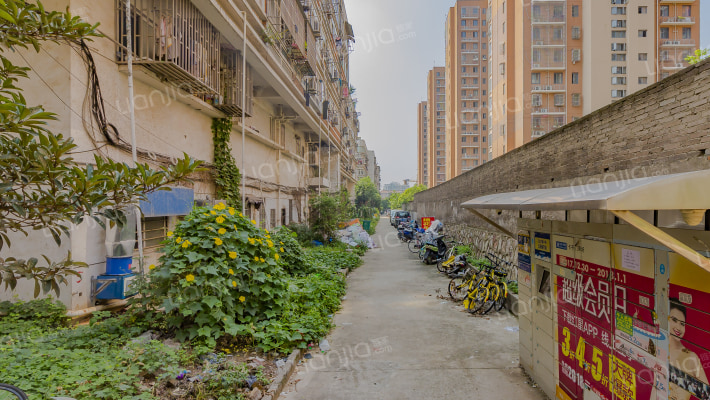 竹山路250号外景图