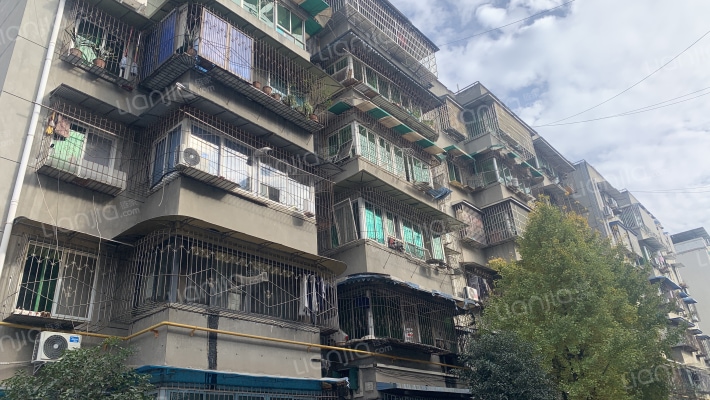 桂花街29号外景图