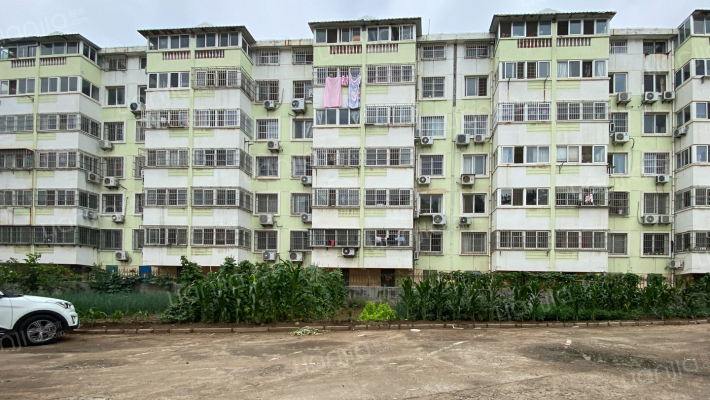 紫樱花园外景图