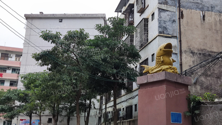 龙华路14号外景图