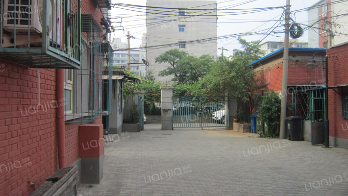 大柳树9号院外景图