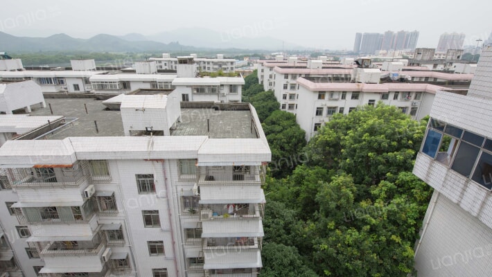 皇岗边检生活小区外景图