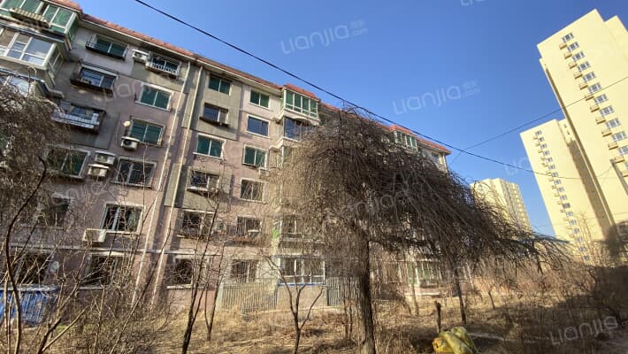 望花丽景外景图