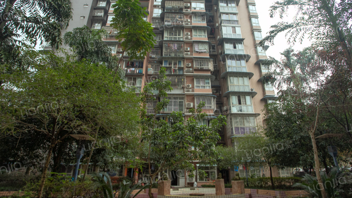 兴旺华都外景图