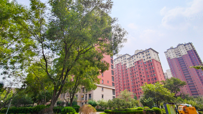 唐人中心B区外景图