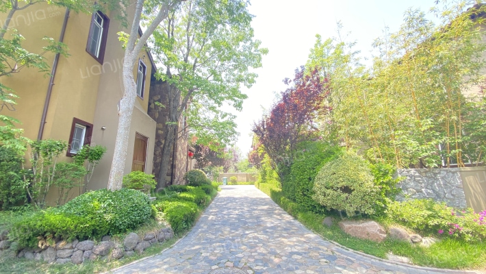 芭东小镇外景图