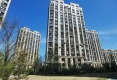 春柳公园6