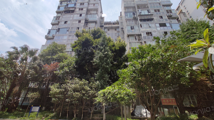 星语双城一期外景图