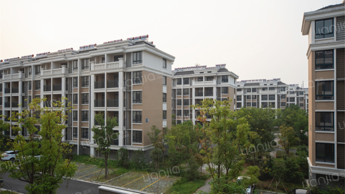 泾港花苑外景图