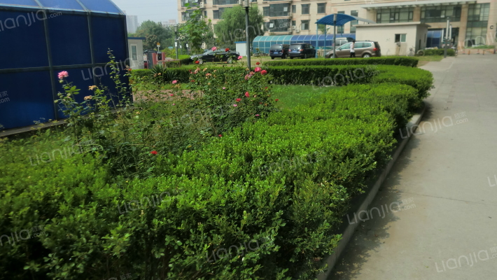 牛顿办公区外景图