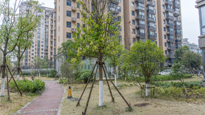 书香一品北园外景图