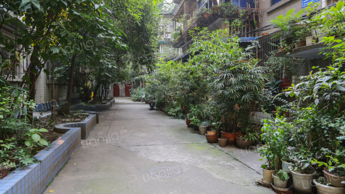 半边桥南街35号外景图