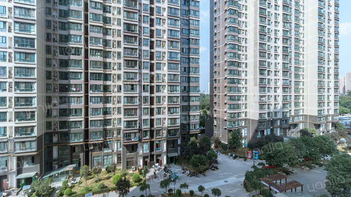 江林公园里外景图