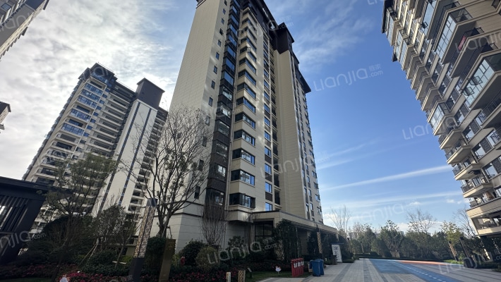 红星天悦外景图