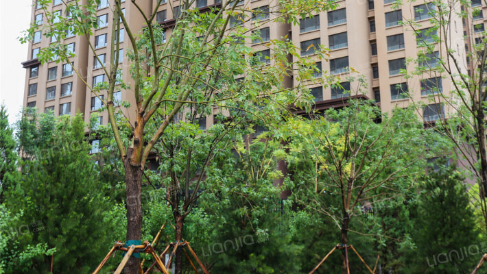 龙湾写意外景图